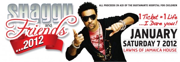 Shaggy Concert Banner